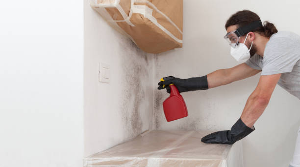 Professional Bathroom Mold Removal technician working in Faulkner, MD