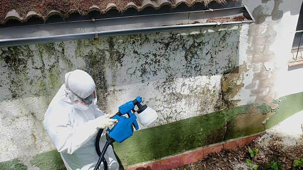 Trusted Commercial Mold Remediation service in Faulkner, MD - Cheap Mold Removal